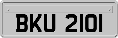 BKU2101