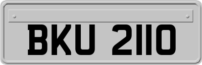 BKU2110