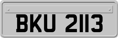 BKU2113