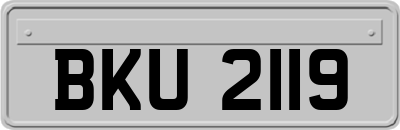 BKU2119