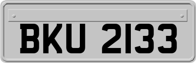 BKU2133