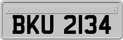 BKU2134