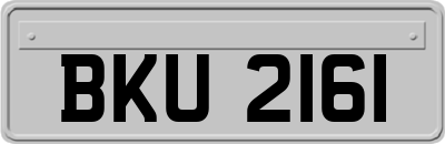 BKU2161