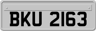 BKU2163