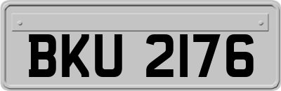 BKU2176