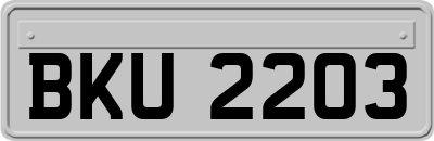 BKU2203