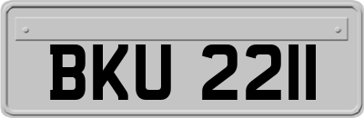 BKU2211