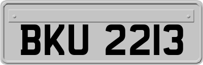 BKU2213