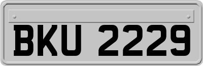 BKU2229
