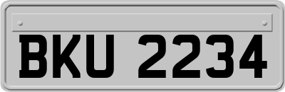 BKU2234