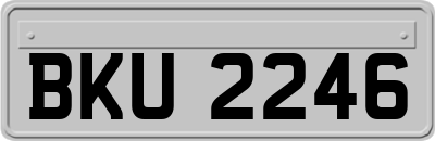 BKU2246