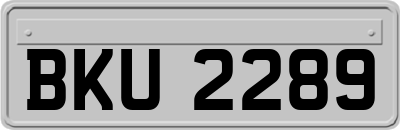 BKU2289