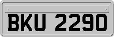 BKU2290