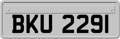 BKU2291