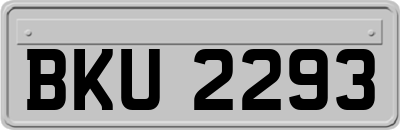 BKU2293