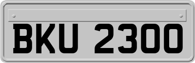 BKU2300