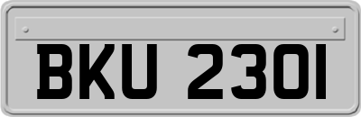 BKU2301