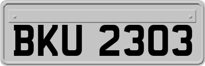 BKU2303