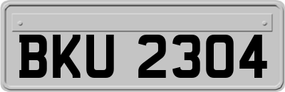 BKU2304
