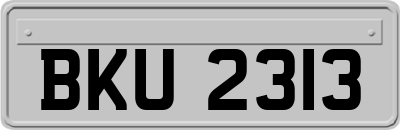 BKU2313
