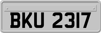 BKU2317