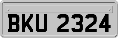 BKU2324