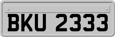 BKU2333