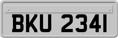BKU2341