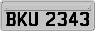 BKU2343
