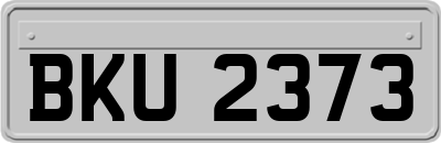 BKU2373