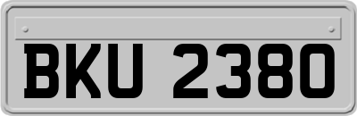 BKU2380
