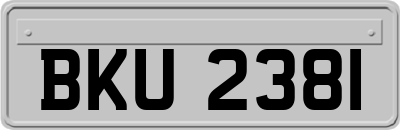BKU2381