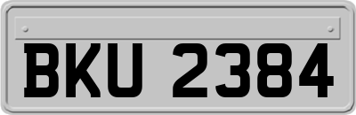 BKU2384