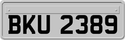 BKU2389