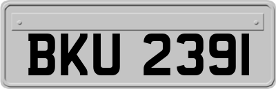 BKU2391