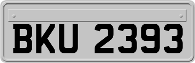 BKU2393