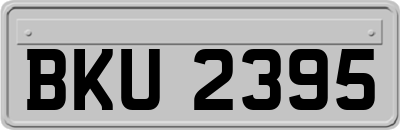 BKU2395