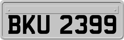 BKU2399