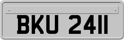 BKU2411