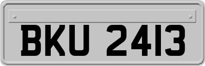 BKU2413
