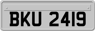 BKU2419