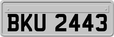 BKU2443