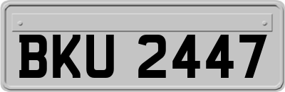 BKU2447