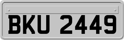 BKU2449