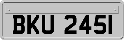 BKU2451