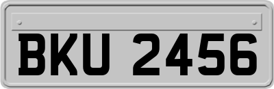 BKU2456