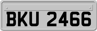 BKU2466