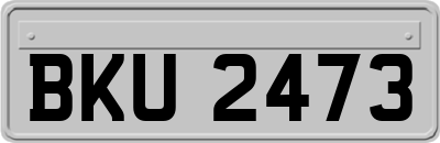 BKU2473