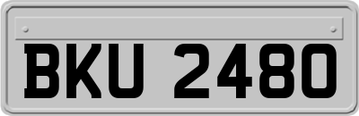 BKU2480