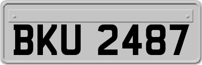 BKU2487